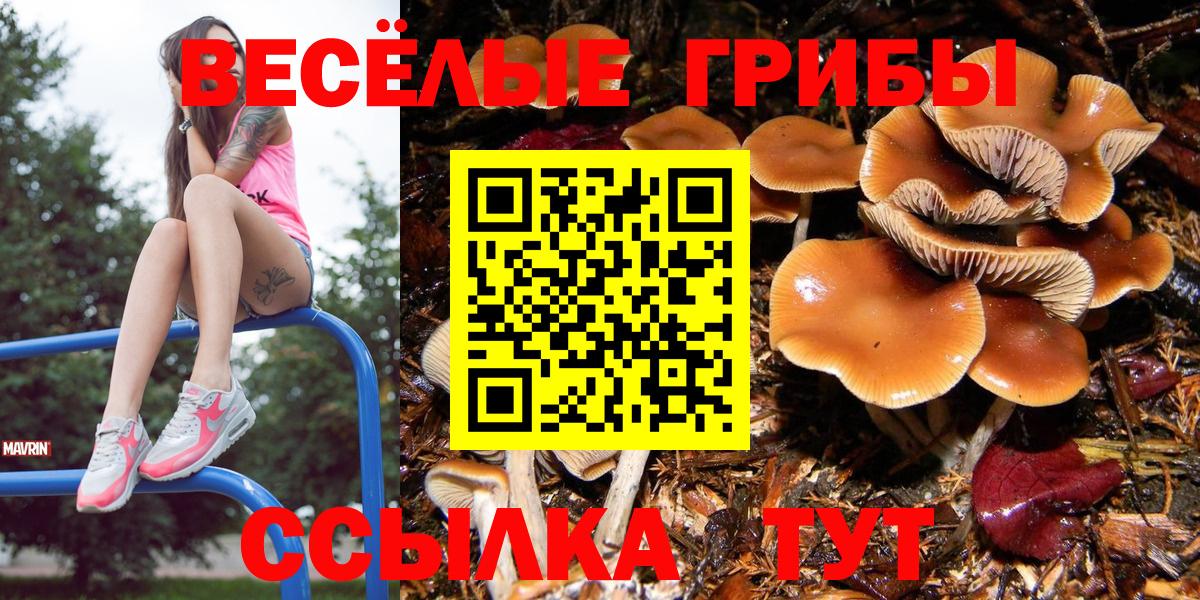 Волхов  Псилоцибиновые грибы ЛСД  Галлюциногенные грибы Magic Shrooms  Вход с VPN 