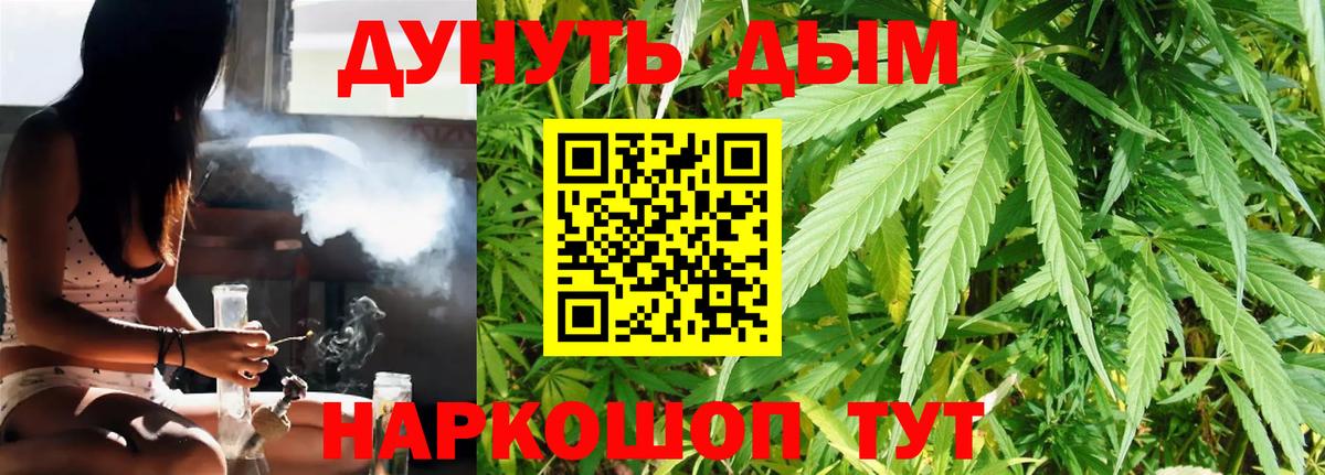 Марихуана Bruce Banner  Вход с VPN  Каннабис сатива  Волхов  Каннабис индика 